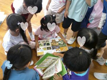 5歳児が図鑑で幼虫を観察しているところ