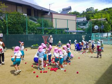 幼稚園対保育所で、玉入れをしているところ
