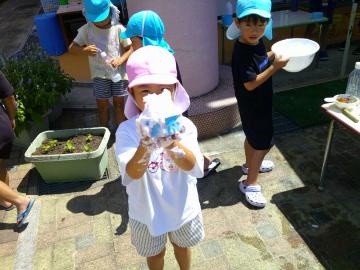 泡がかき氷みたいに器に盛りつけられた様子を、見せているところ