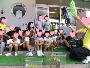 屋外で年長児が育てたチョウを空に逃がしている様子