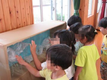 室内で数人の子どもたちが棚の中の展示物を覗き込んでいる様子