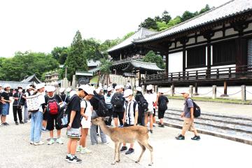 鹿もいる中、二月堂に向かう様子