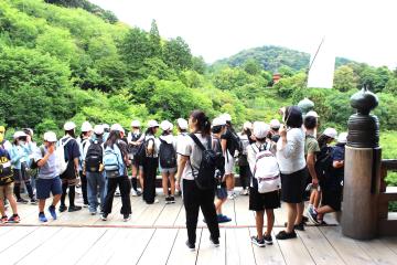 清水寺の舞台から周囲を眺める様子