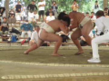 土俵でまわし姿の生徒が組み合っている様子と周囲の観客