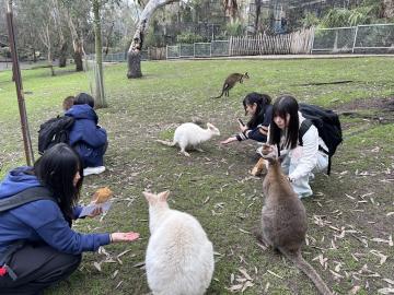 動物園