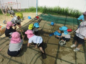 泥んこ遊び