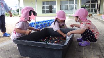 3歳児が友達と一緒にスーパーボールすくいをしている様子