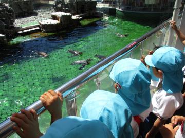 ペンギンのエサやりを見学している様子