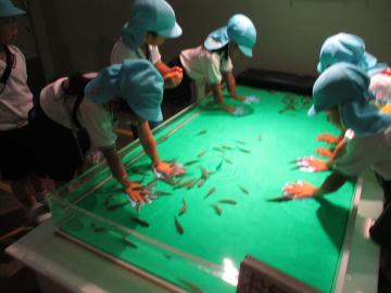 ドクターフィッシュの水槽に手を入れて、魚の動きを観察している様子