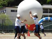 幼小中合同で最後の演目の大玉送りに励んでいる様子