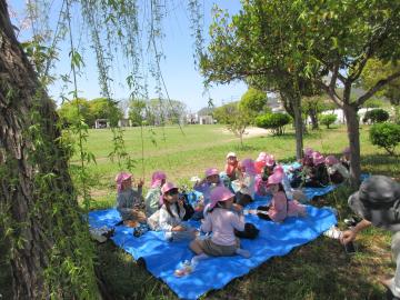 公園へお花見に