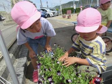 幼虫を捕まえる