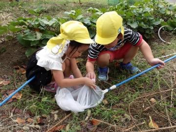 幼児が虫網で虫を捕まえる様子