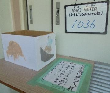 セミの抜け殻