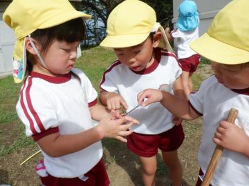 手にトンボを乗せて触ろうとしている子供たち