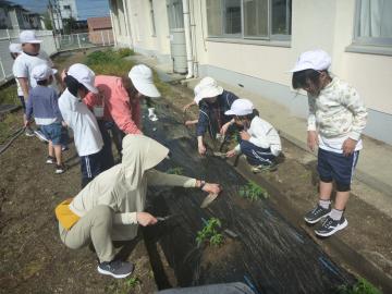 先生が苗の植え方を説明する様子