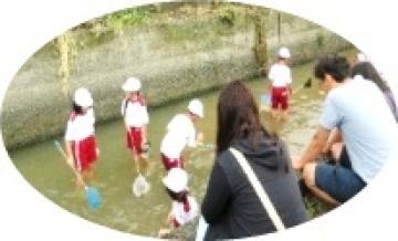 川で生き物を探す3年生の写真