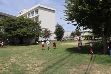 公園で昆虫を探している写真