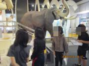 マンモスの大きさにびっくりする子供たち