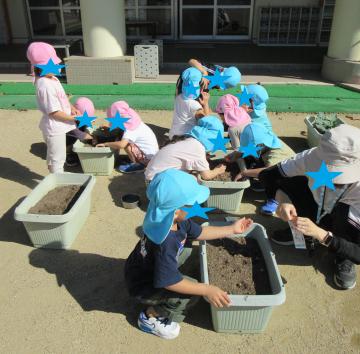 冬野菜の種を植える子ども達