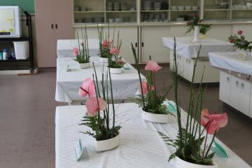 白いテーブルクロスをかけたテーブルに白い器に入ったピンクの花と細長い緑の茎のいけばなが並んでいる室内の展示