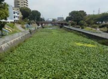 ニノ切橋（2017年夏）の様子