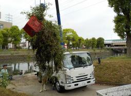 河川清掃の画像その4