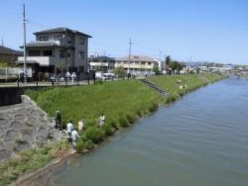 清掃活動（船場川）の様子その1