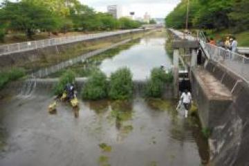 清掃活動（外堀川）の様子その2