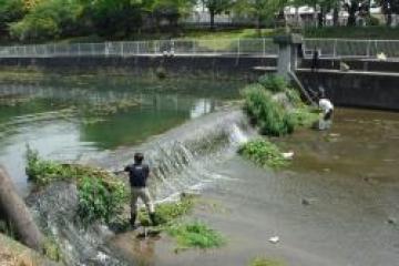 清掃活動（外堀川）の様子その3