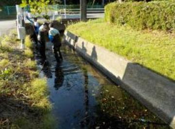 清掃活動（中島川）の様子その1