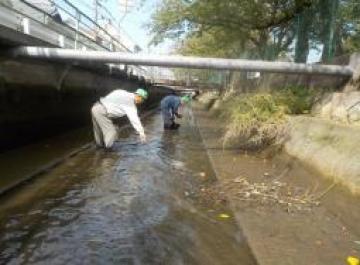 清掃活動（新堀川）の様子その2