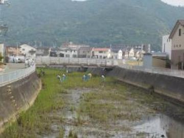 河川の美化・浄化活動　清掃活動の様子その2