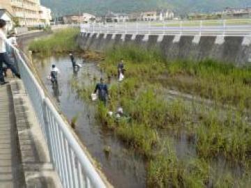 河川の美化・浄化活動　清掃活動の様子その3