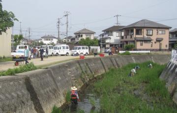 河川の美化・浄化活動　清掃活動の様子その1