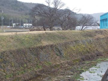 河川清掃作業終了後の土手部分の画像その2