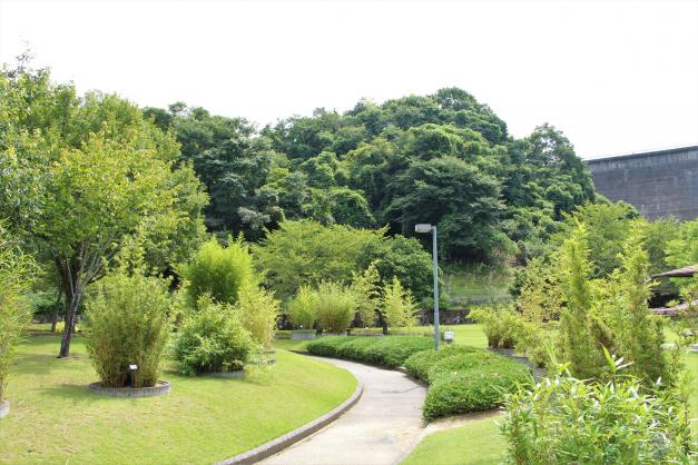 桜山公園（園路）