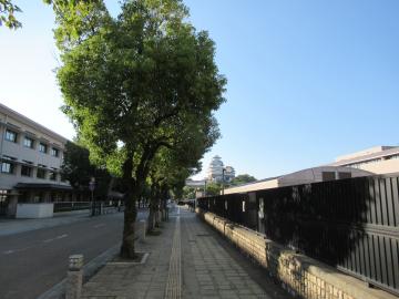 久長門跡からの姫路城の写真