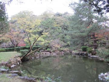姫山公園の庭園の写真
