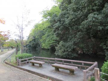 内堀と姫山原生林の写真