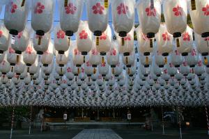 護国神社の新年万燈祭の写真
