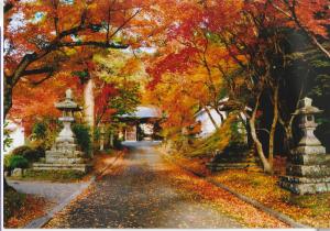 林田八幡神社参道の写真