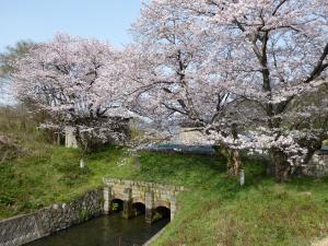 保城北端の市川西護岸の写真