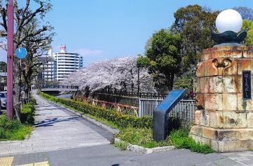 白鷺橋西南詰より白鷺橋西北橋柱の写真