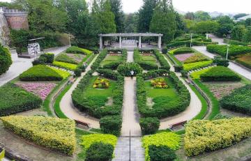 手柄山中央公園緑の相談所下よりの写真