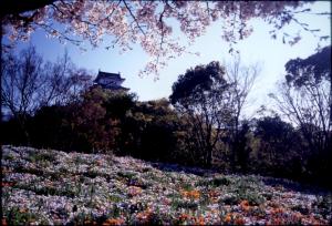 シロトピア公園から見た姫路城の写真