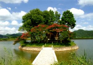 鴨池弁天島（州浜神社）の写真