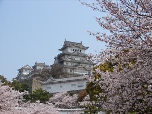 姫路城と桜の写真