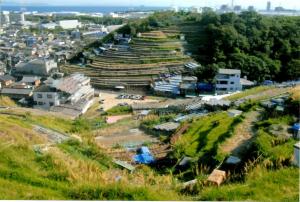 御旅山広畠と段々畑の写真