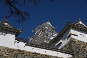 真下から眺める姫路城の写真
